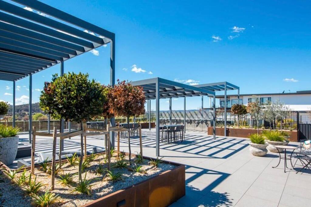 Luxe 2Br Executive Apartment Kingston Pool Parking Wifi Bbq Wine Exteriér fotografie